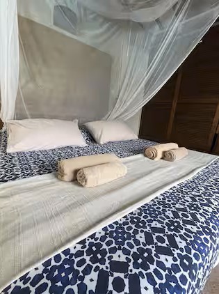 capture_dcran_2025-11-10_023107